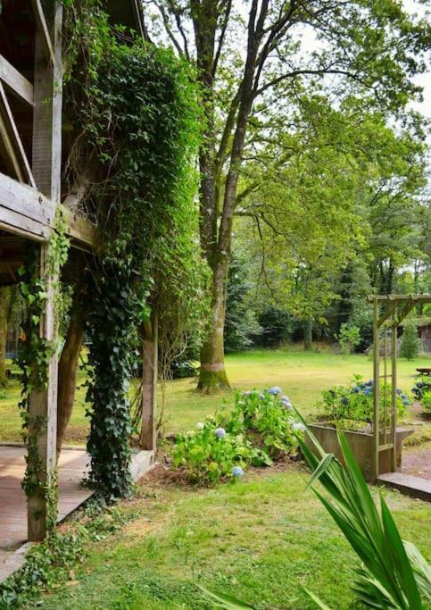 Chalet Cosy Au Coeur De La Foret De Broceliande Beignon Exterior photo